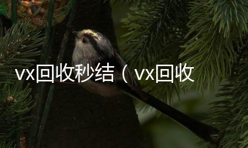 vx回收秒结高价回收微信300元秒结（vx回收秒结平台）